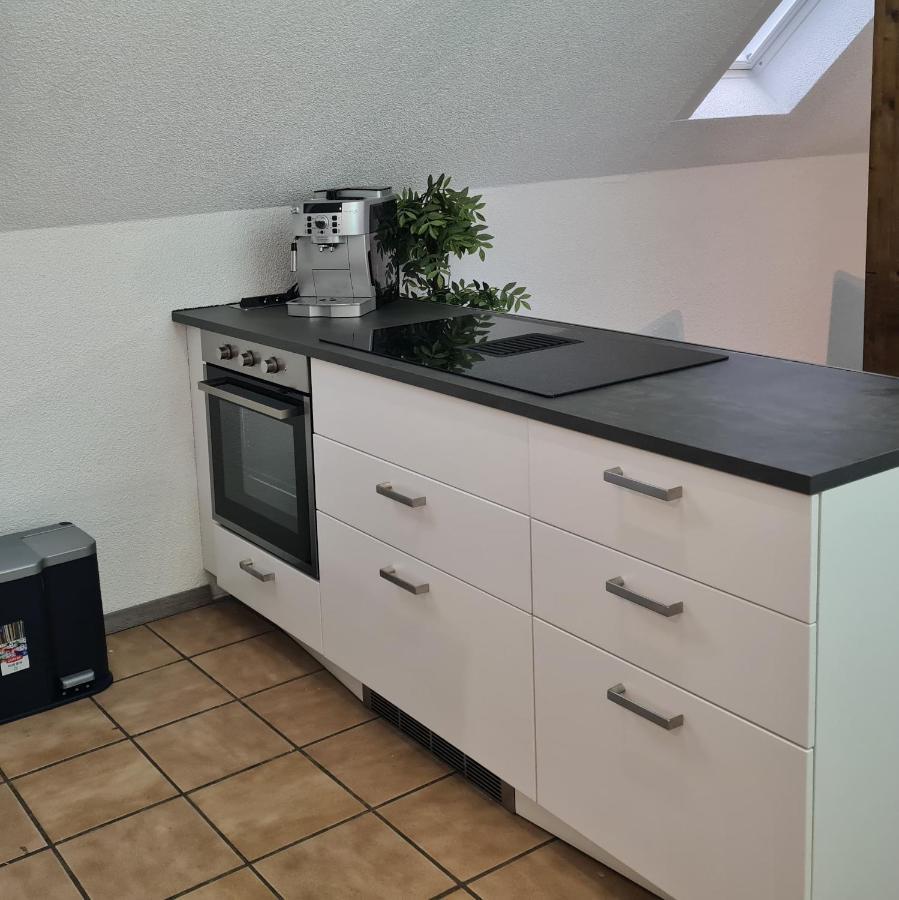 Willingen, Zeit Fuer Dich Daire Frankenau Dış mekan fotoğraf
