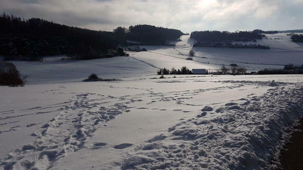 Willingen, Zeit Fuer Dich Daire Frankenau Dış mekan fotoğraf